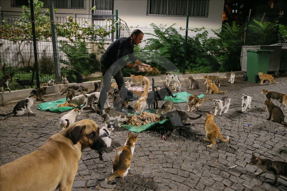 Sokak hayvanlarını doyurmak için motosikletiyle İzmir'i turluyor