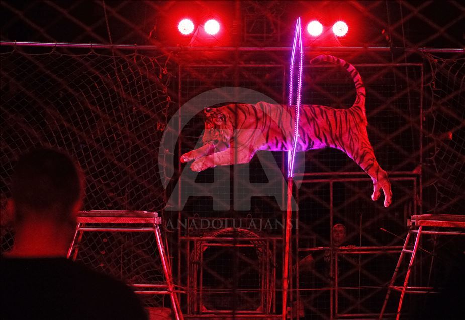 A circus show in the National Circus of Ukraine.
