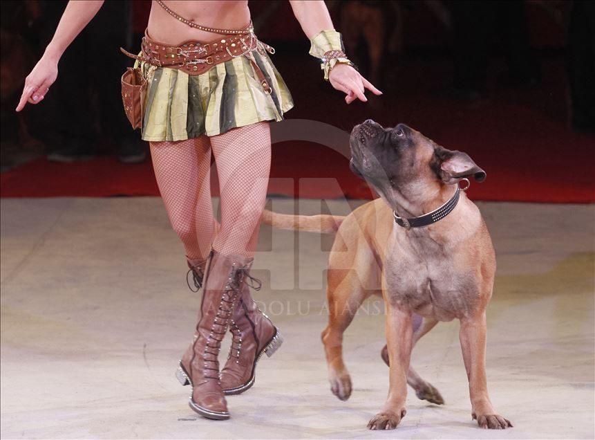 A circus show in the National Circus of Ukraine.