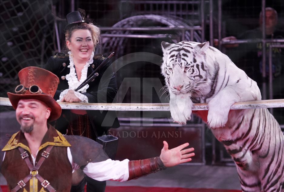 A circus show in the National Circus of Ukraine.