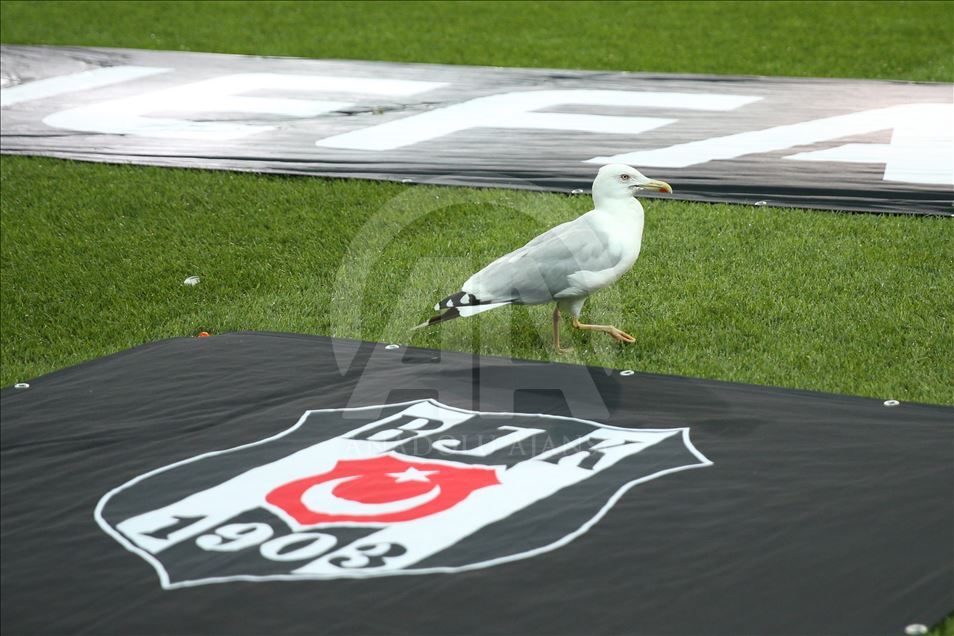 Beşiktaş - Wolverhampton Wanderers