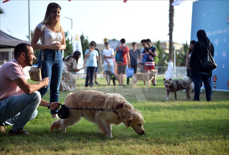 Mersin'de "PatiFest" renkli görüntülerle başladı