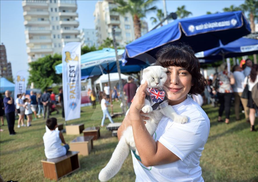 Mersin'de "PatiFest" renkli görüntülerle başladı