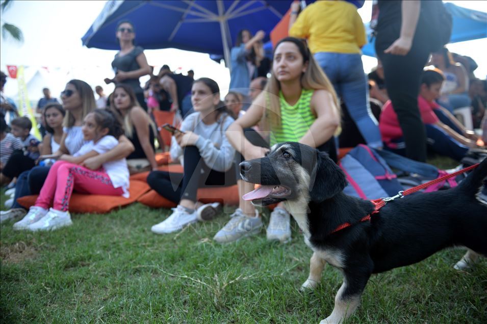 Mersin'de "PatiFest" renkli görüntülerle başladı
