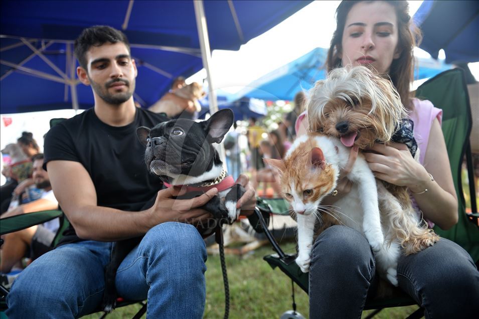 Mersin'de "PatiFest" renkli görüntülerle başladı