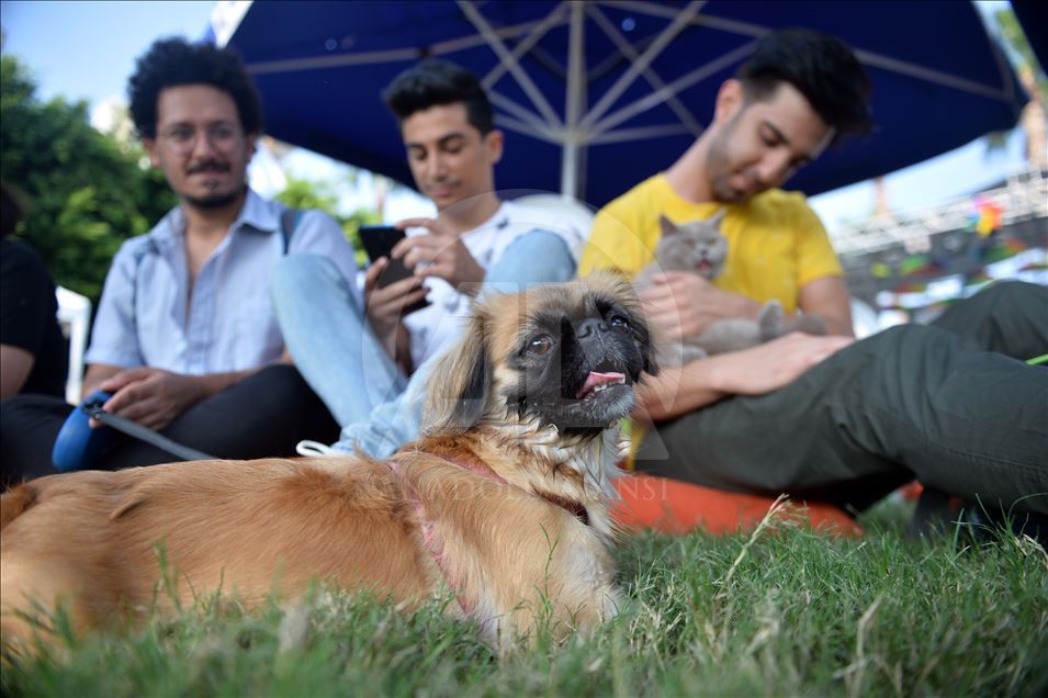 Mersin'de "PatiFest" renkli görüntülerle başladı