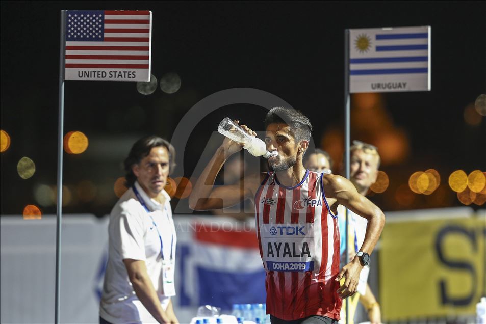 17. Dünya Atletizm Şampiyonası