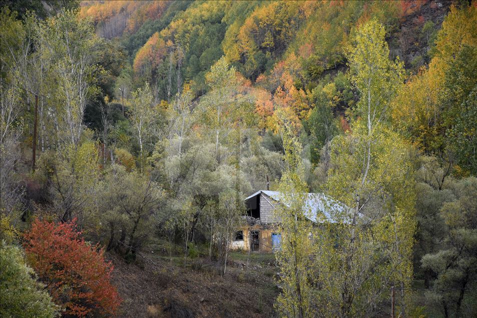Autumn in Turkey's Gumushane