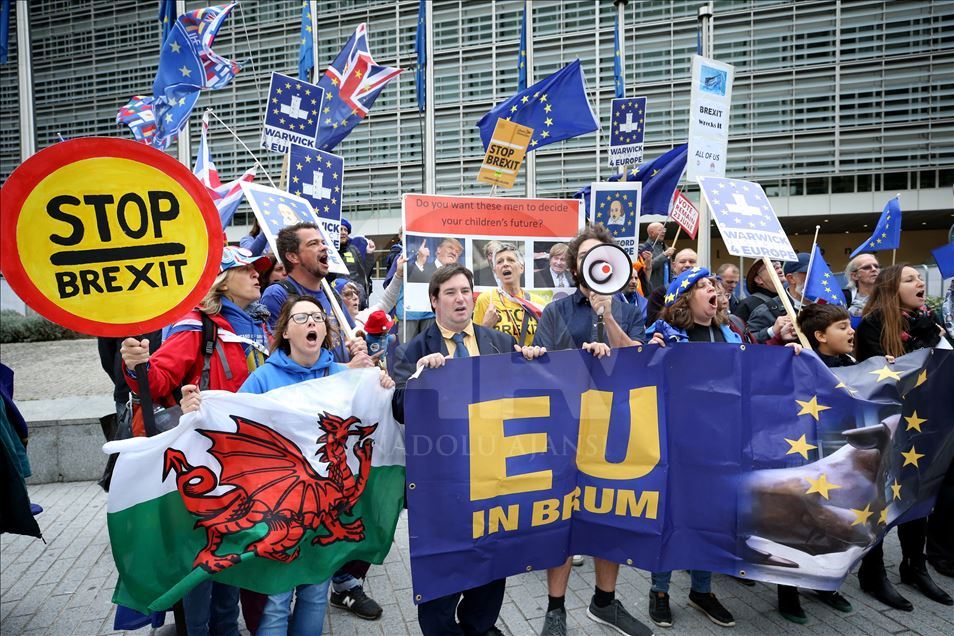 Brüksel'de Brexit protestosu 