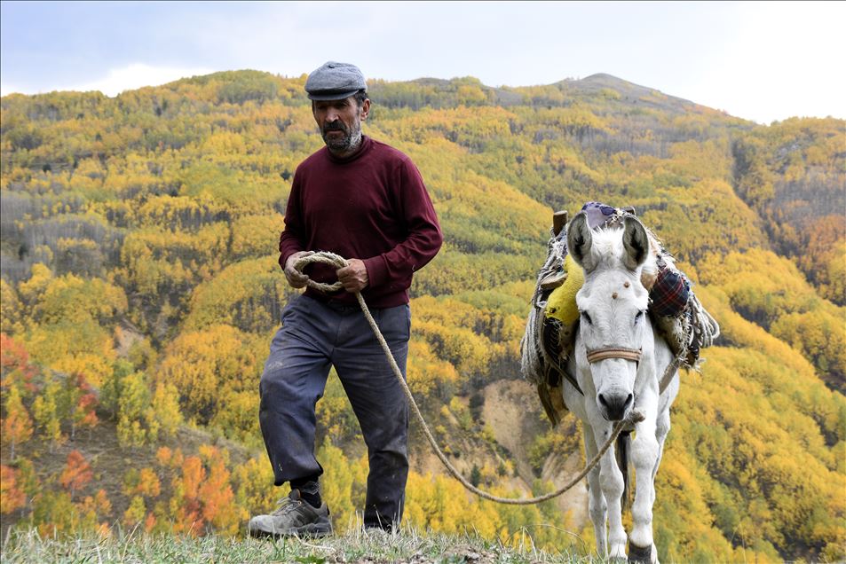 Doğu Karadeniz "güz renkleri" ile bir başka güzel