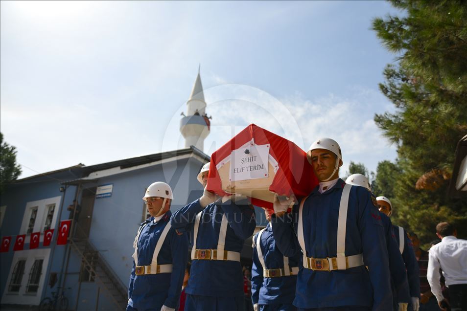 Ceylanpınar'da şehit olan 11 yaşındaki Elif için tören