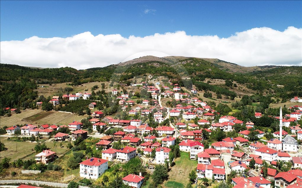 حي "يشيلجه" بتركيا.. حارس للطبيعة والطراز المعماري لمنطقة البحر الأسود