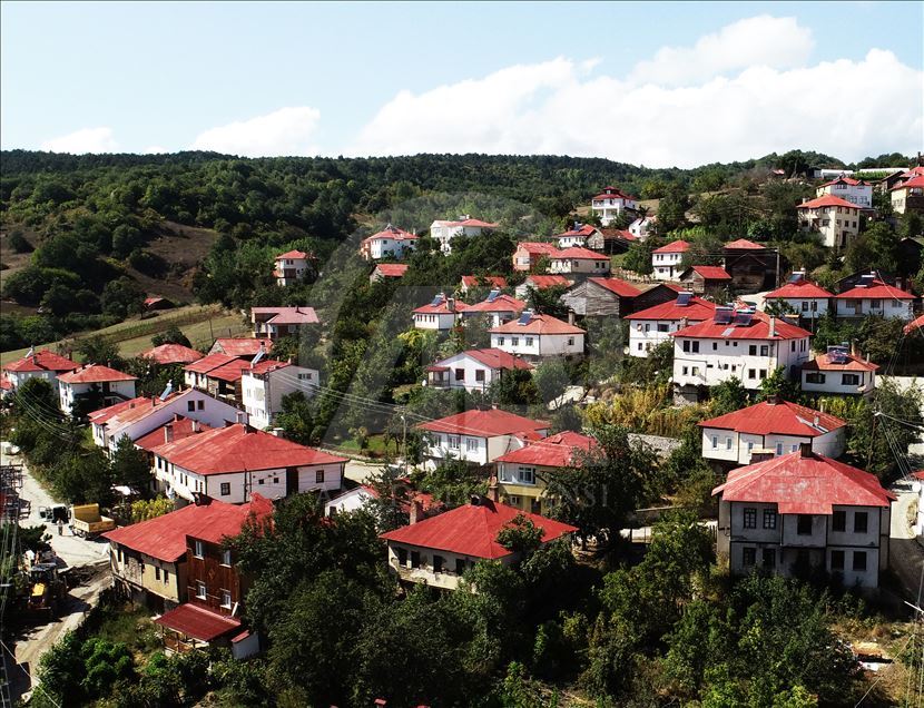 حي "يشيلجه" بتركيا.. حارس للطبيعة والطراز المعماري لمنطقة البحر الأسود