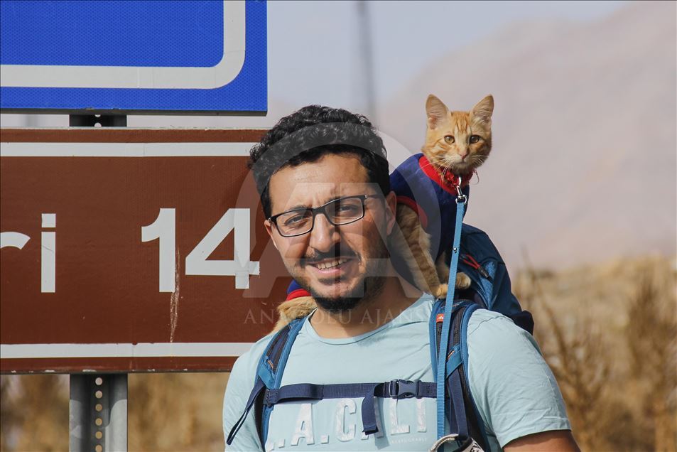 Sevimli "Azman" otostopla Türkiye'yi geziyor
