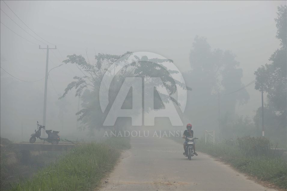 La bruma envuelve partes de la ciudad de Palembang, Indonesia