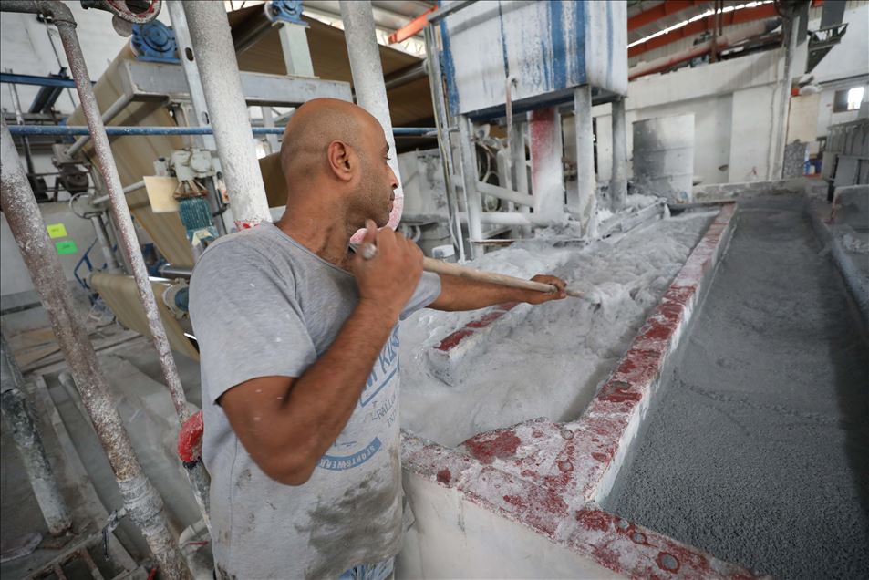 فلسطين.. أول مصنع لإنتاج المناديل الورقية من سعف النخيل 

