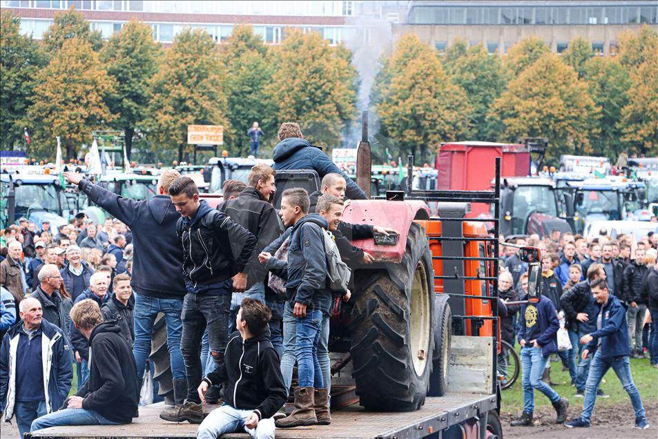 Hollanda'da çiftçilerden, hükümetin tarım politikasına protesto