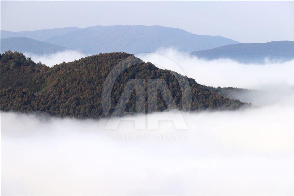 تصاویر زیبا از دامنه‌های کوه بولو در میان مه
