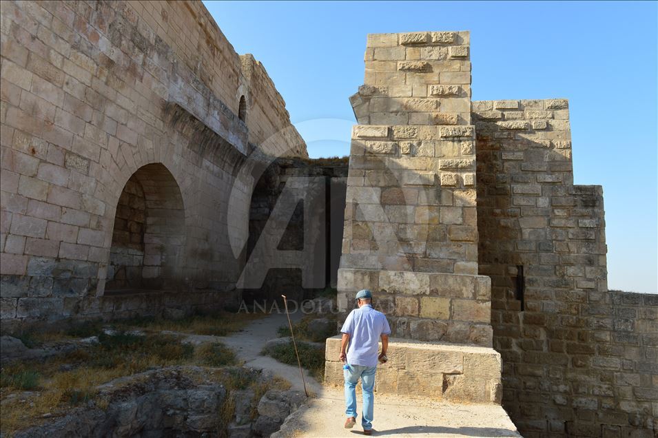 UNESCO adayı Harran'ın sarayının tarihi netleşiyor