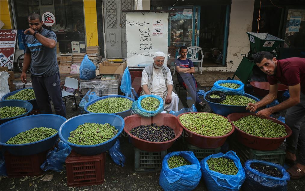 سوق الزيتون بغزة... معلم قديم لثمار الشجرة المباركة
