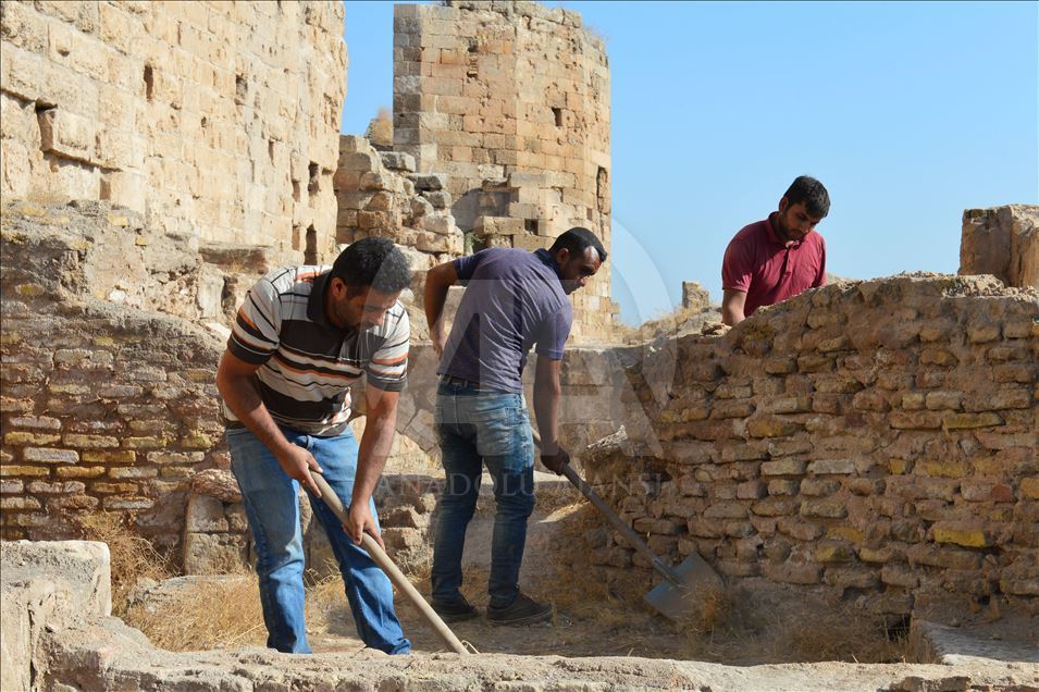 UNESCO adayı Harran'ın sarayının tarihi netleşiyor