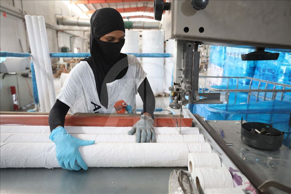 Filistin'de palmiye atığından kağıt mendil üretiliyor
