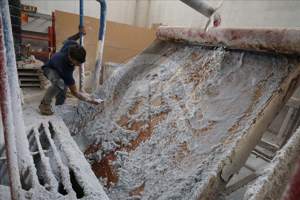 Filistin'de palmiye atığından kağıt mendil üretiliyor