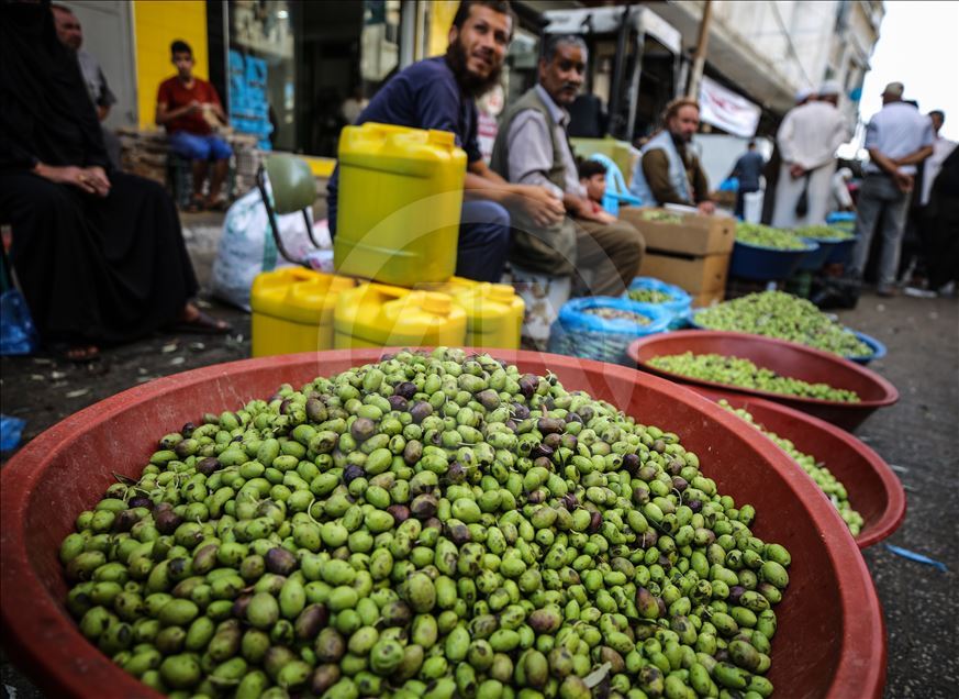 Gazze'nin kaliteli zeytinleri 50 yıldır Han Yunus'ta görücüye çıkıyor
