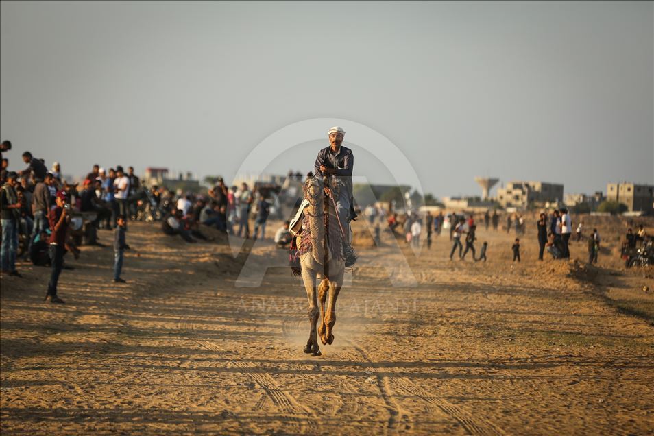Gazze'de deve yarışı