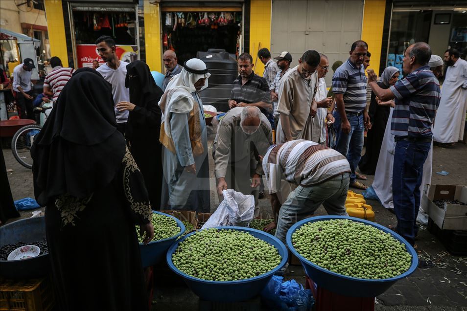 Gazze'nin kaliteli zeytinleri 50 yıldır Han Yunus'ta görücüye çıkıyor
