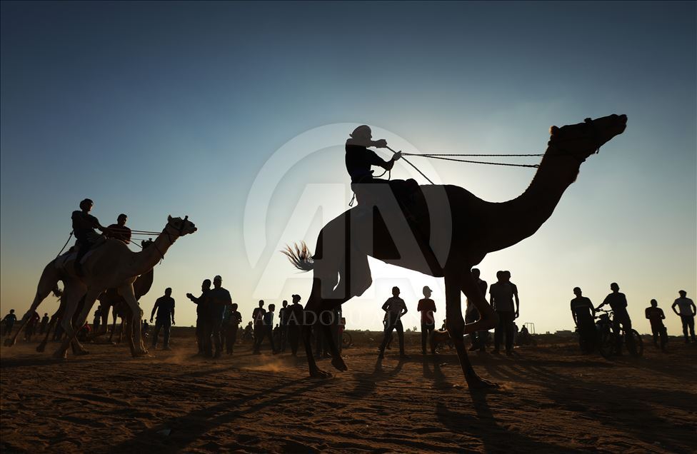 برگزاری مسابقات شتر سواری در غزه