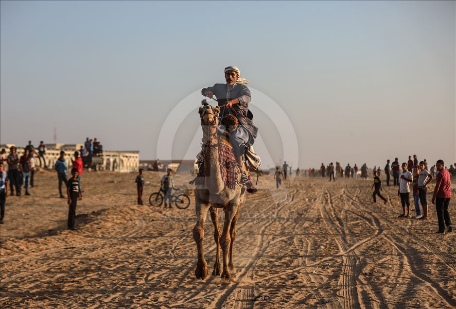 برگزاری مسابقات شتر سواری در غزه