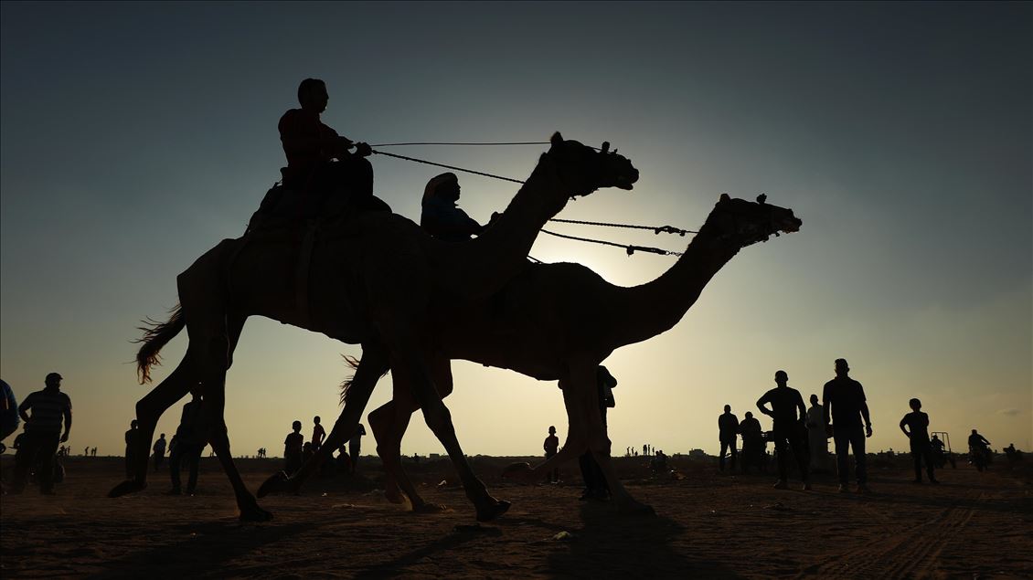 برگزاری مسابقات شتر سواری در غزه
