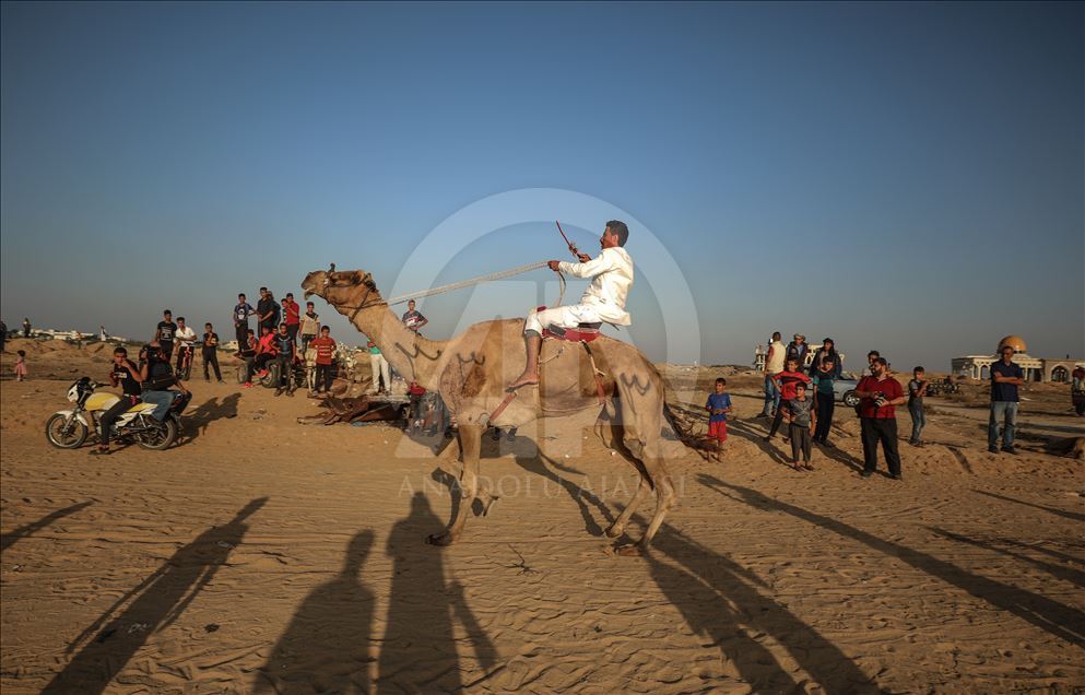 برگزاری مسابقات شتر سواری در غزه