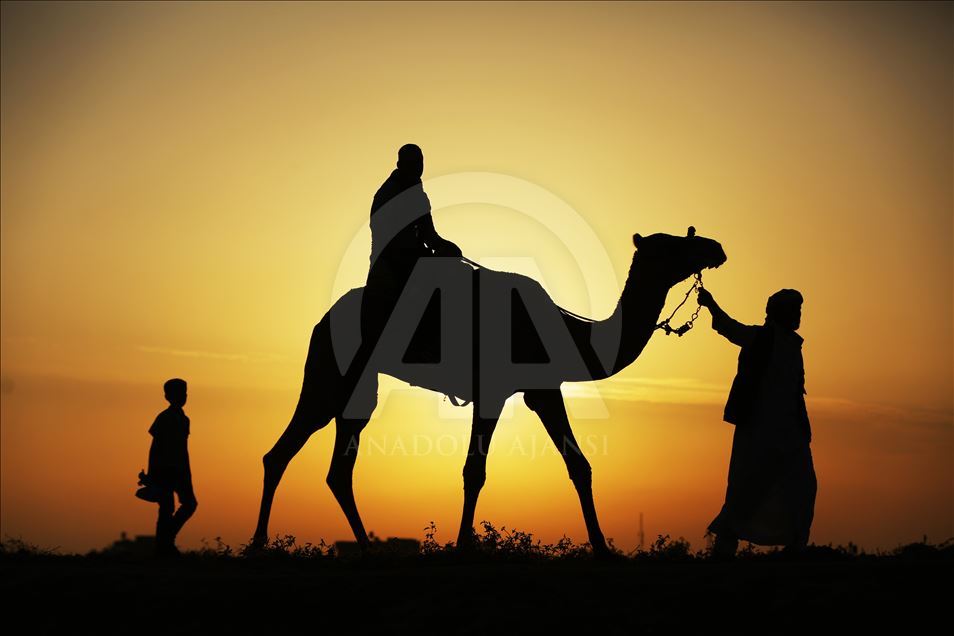 برگزاری مسابقات شتر سواری در غزه