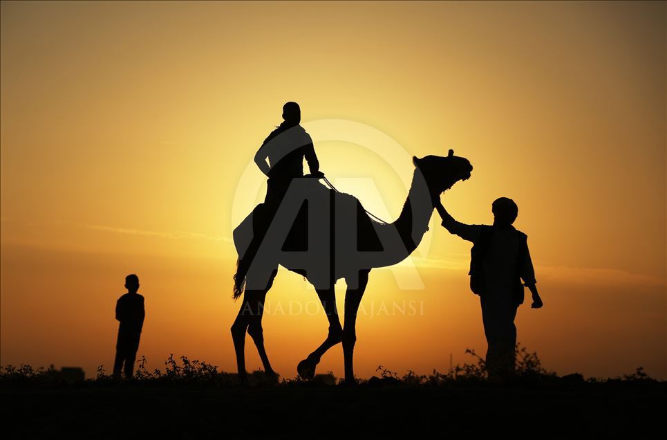 برگزاری مسابقات شتر سواری در غزه