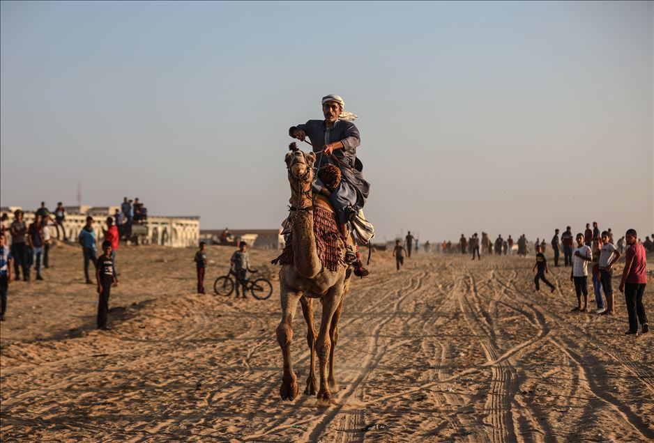 Camel race in Gaza