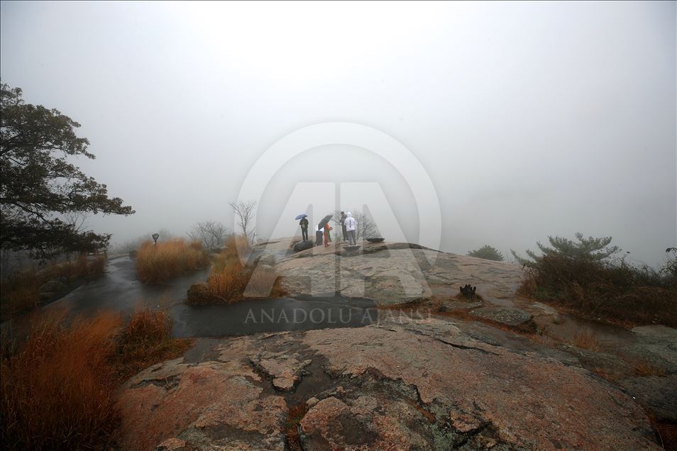 Foggy view from Bear Mountain State Park