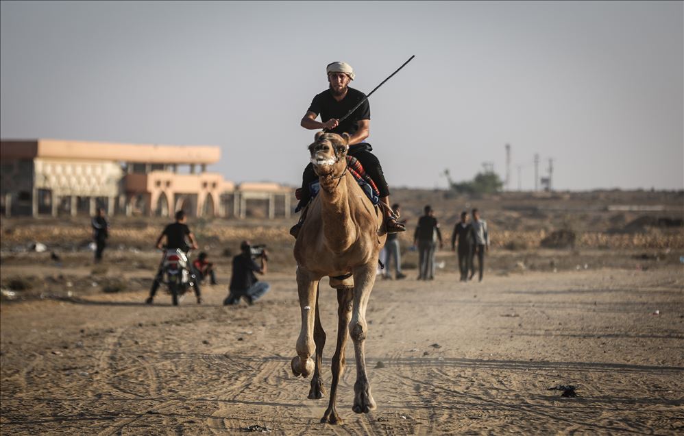 Camel race in Gaza