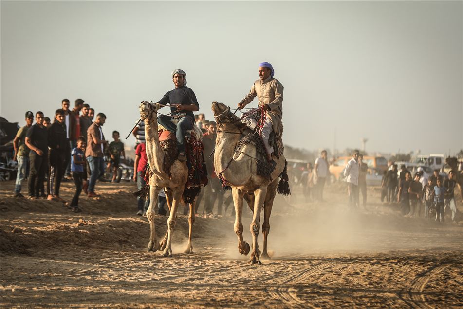 Camel race in Gaza