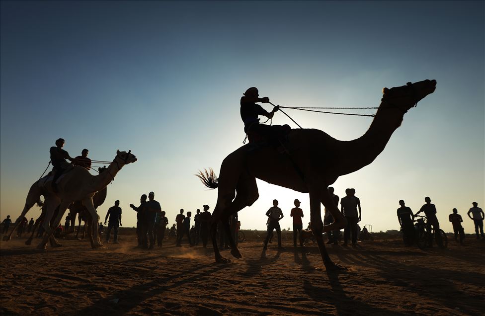 Camel race in Gaza