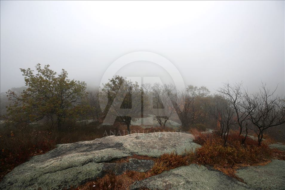 Осенний пейзаж парка Медвежьей горы в Нью-Йорке 
