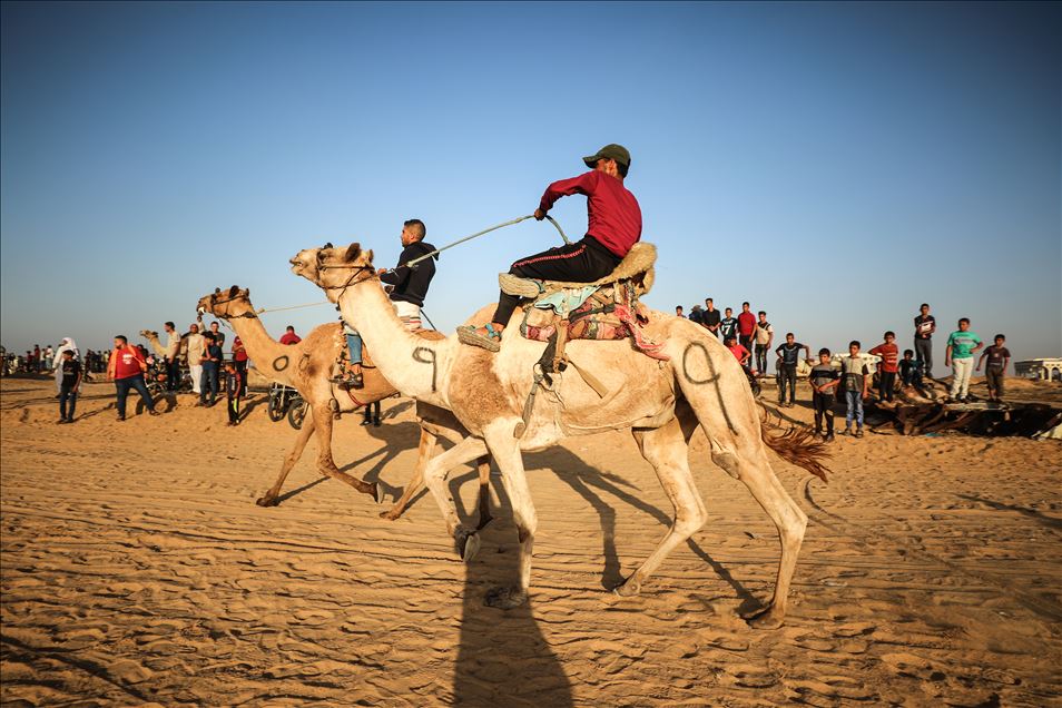 Camel race in Gaza