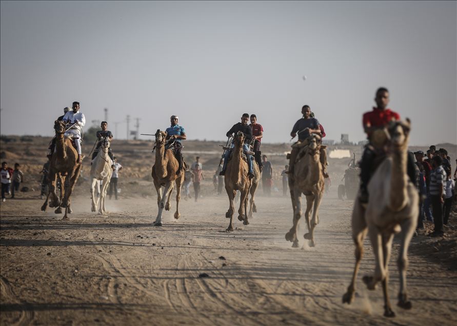 Camel race in Gaza
