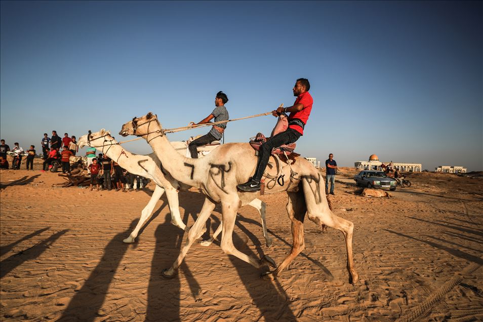 Camel race in Gaza