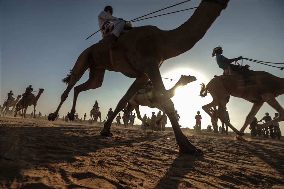 Camel race in Gaza