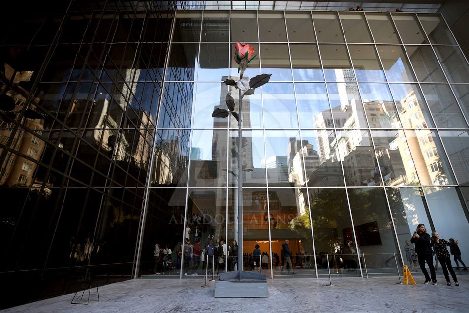 MoMA, 450 milyon dolarlık tadilatın ardından ziyaretçilere açıldı