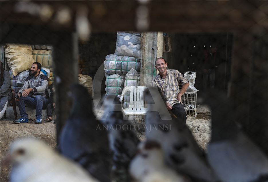 Afrin'de günlük yaşam