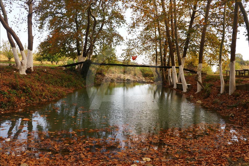 Tekirdağ'da sonbahar güzelliği