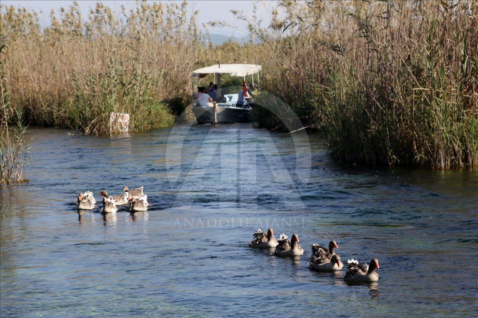 Muğla'da deniz keyfi